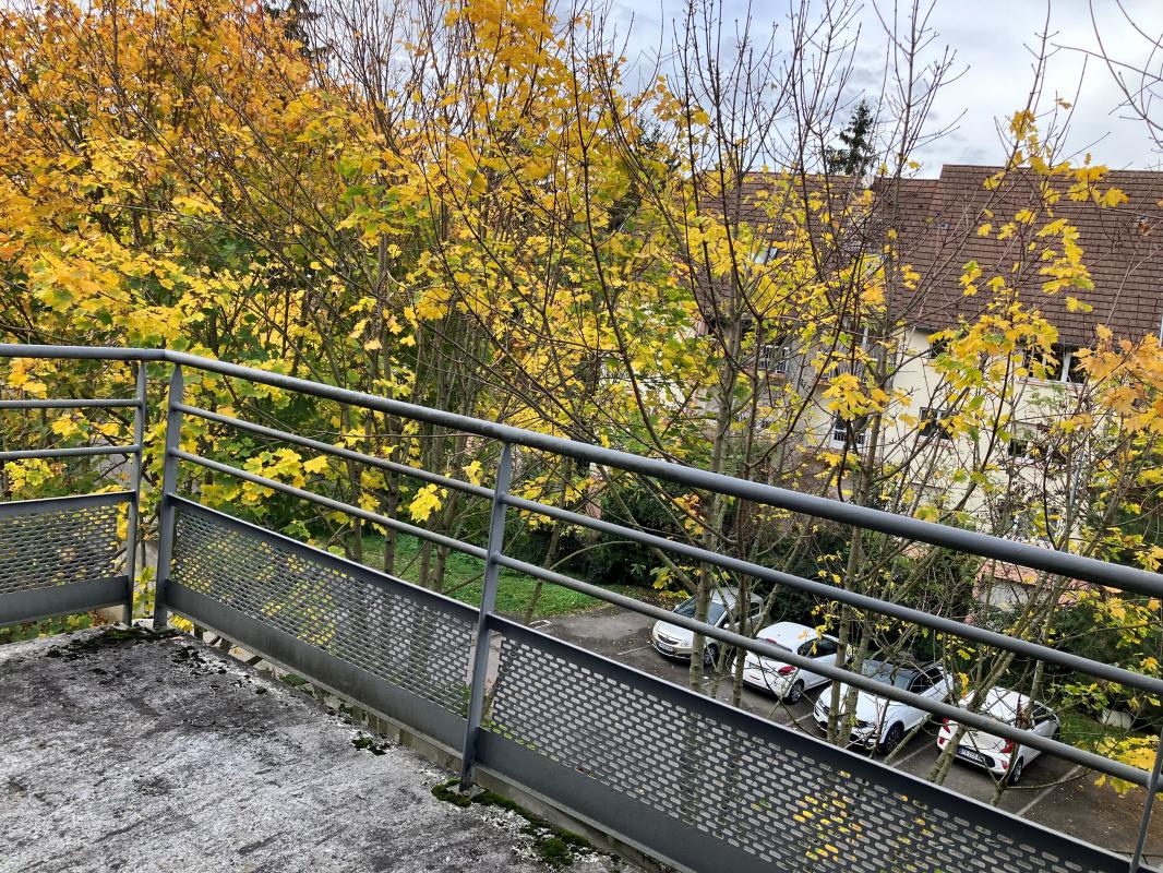 A LOUER T2 SAVERNE - Rue Ruth - 60m²