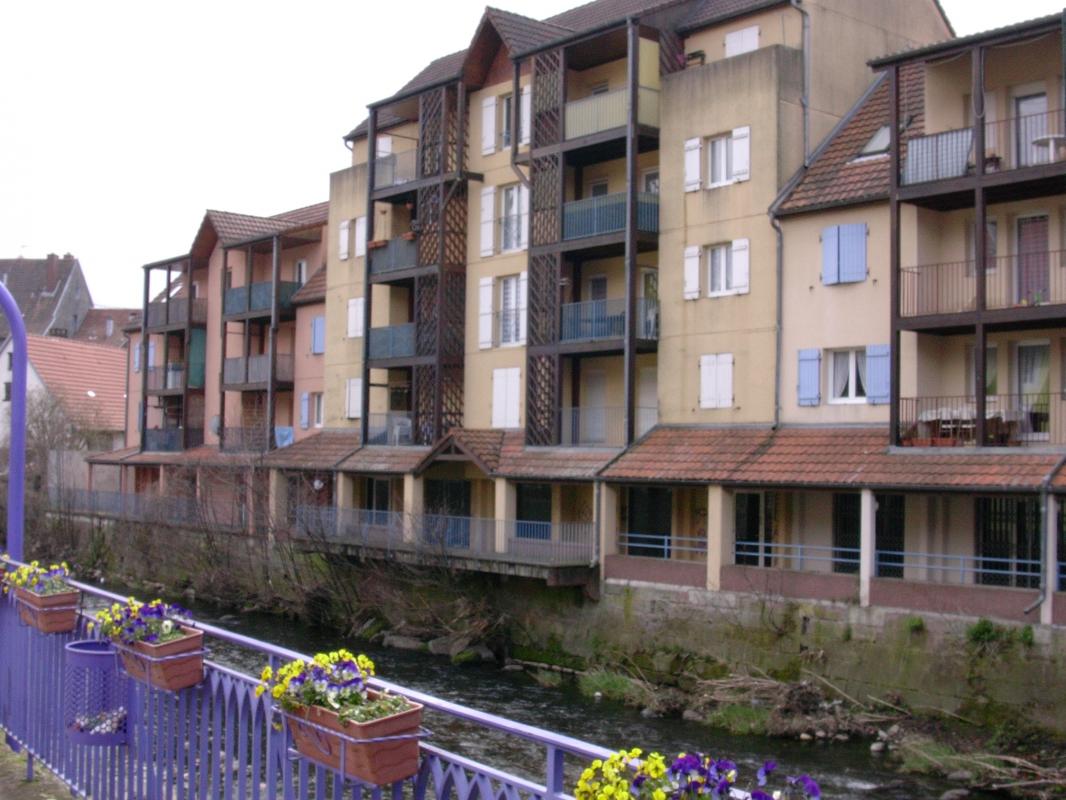 T3 DANS LA CHARMANTE COMMUNE DE MASEVAUX