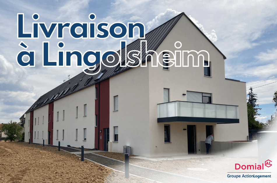 Livraison lingo